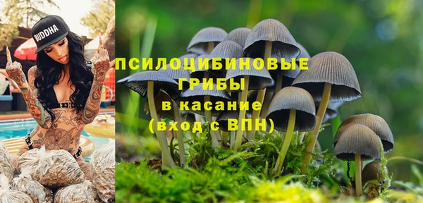 винт Балабаново